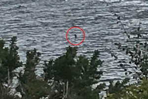 image 2 in Nessie gallery