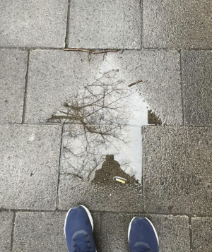 image 6 in nog eens gallery