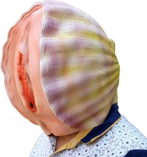 image 2 in Oestermasker gallery