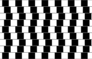 image 3 in optische illusies gallery