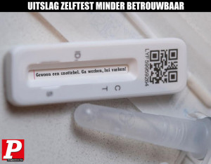 image 123 in P-memes2022 gallery