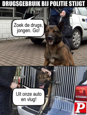 image 43 in P-memes2022 gallery