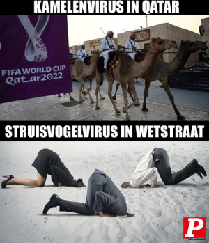 image 4 in P-memes2022 gallery