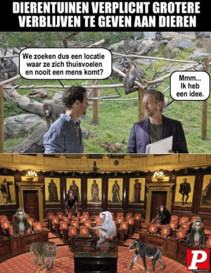 image 50 in P-memes2022 gallery