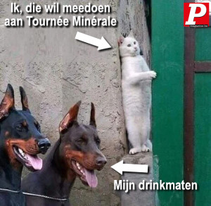 image 12 in P-Memes2023 gallery