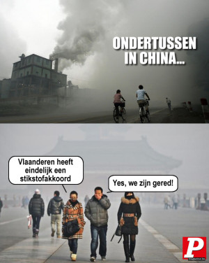 image 25 in P-Memes2023 gallery