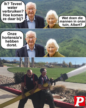 image 43 in P-Memes2023 gallery