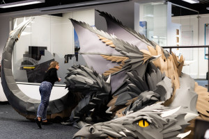 image 4 in PapierenDraak gallery