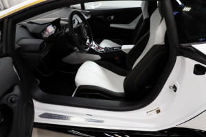 image 10 in Pauselijke Lambo gallery