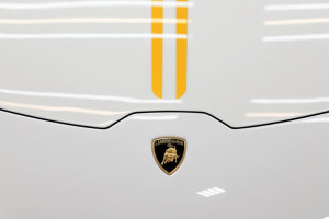 image 6 in Pauselijke Lambo gallery