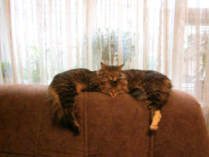 image 24 in Perfect getimed gallery