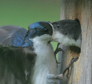 image 25 in Perfect getimed gallery
