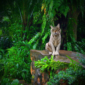 image 21 in photokat gallery