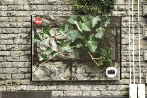 image 13 in Reclameborden gallery