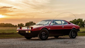 image F13 in Safariferrari gallery