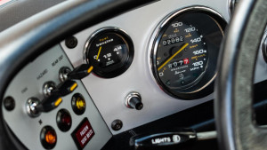 image F17 in Safariferrari gallery