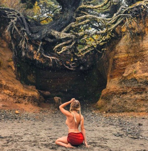 image 17 in Sara Underwood Peper gallery