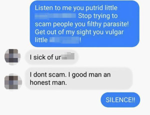 image 22 in Scammerdescam gallery
