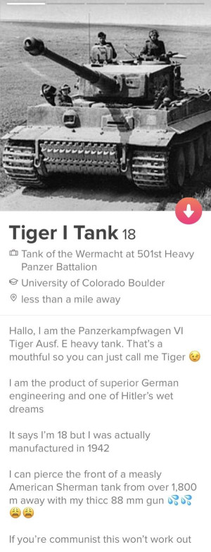 image 12 in schaamteloze tinder gallery