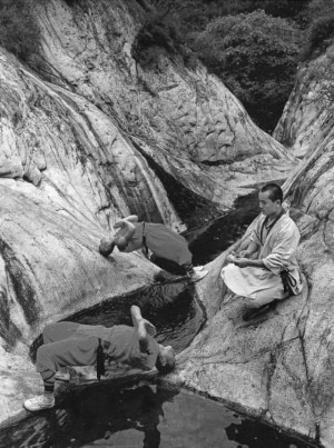 image 11 in Shaolin monniken gallery