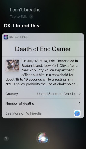 image 10 in Siri gallery