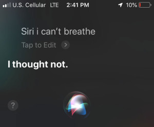 image 14 in Siri gallery