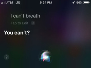 image 7 in Siri gallery