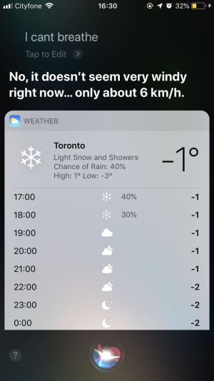 image 8 in Siri gallery