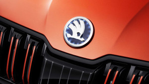 image 25 in skoda pick-up gallery