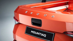 image 28 in skoda pick-up gallery