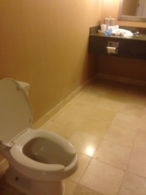 image 5 in slechte hotels gallery