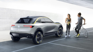 image 13 in Sloppel concept gallery