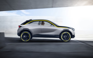 image 2 in Sloppel concept gallery