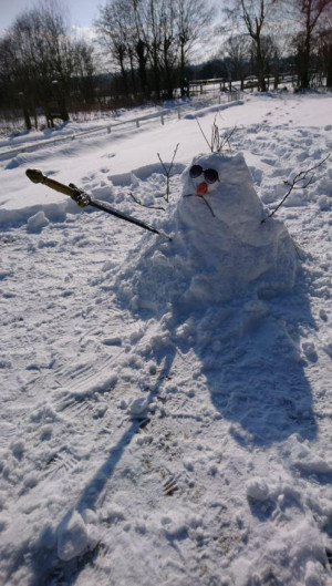 image 9 in sneeuwmannen gallery
