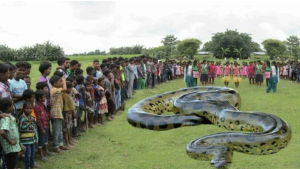 image 12 in soeperen gallery