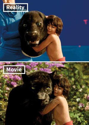 image 17.-The-Jungle-Book in special effects gallery