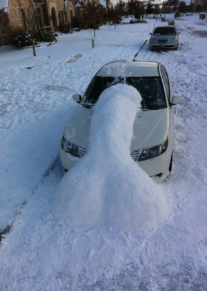 image 6 in stomme sneeuw gallery