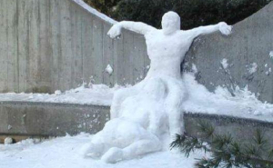 image 9 in stomme sneeuw gallery