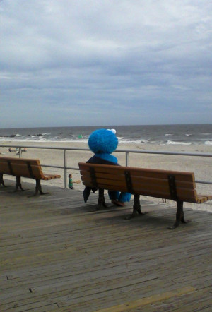 image 11 in Strandfoto's gallery