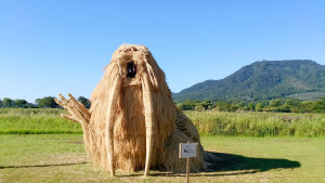 image 4 in StroFestival gallery