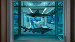 image 2 in Suite gallery