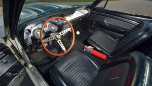 image 10 in super snake gallery