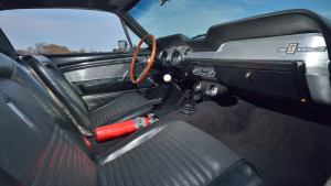 image 11 in super snake gallery