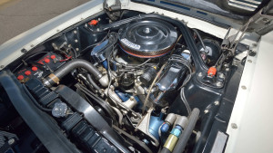 image 12 in super snake gallery