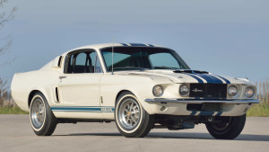 image 1 in super snake gallery