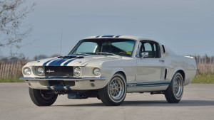 image 2 in super snake gallery