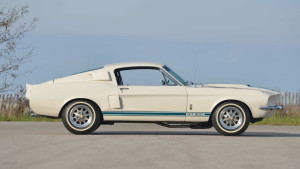 image 3 in super snake gallery