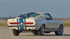 image 4 in super snake gallery