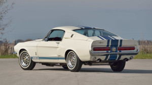 image 5 in super snake gallery