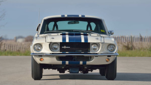 image 6 in super snake gallery